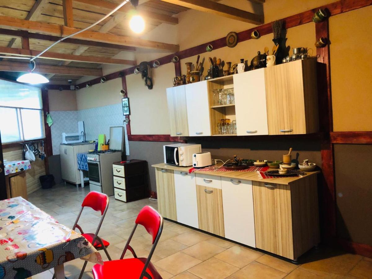 Casa Andrei 호텔 코스티네스티 외부 사진