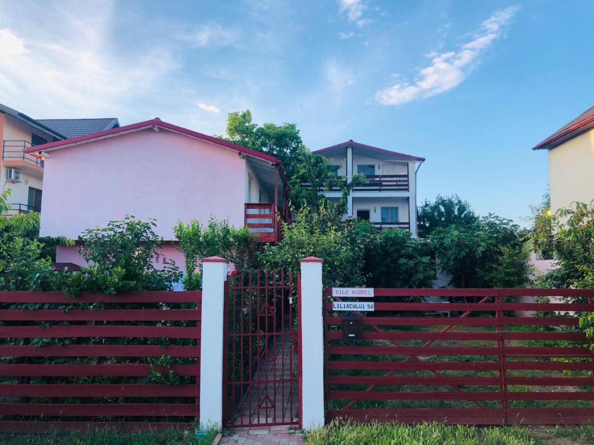Casa Andrei 호텔 코스티네스티 외부 사진